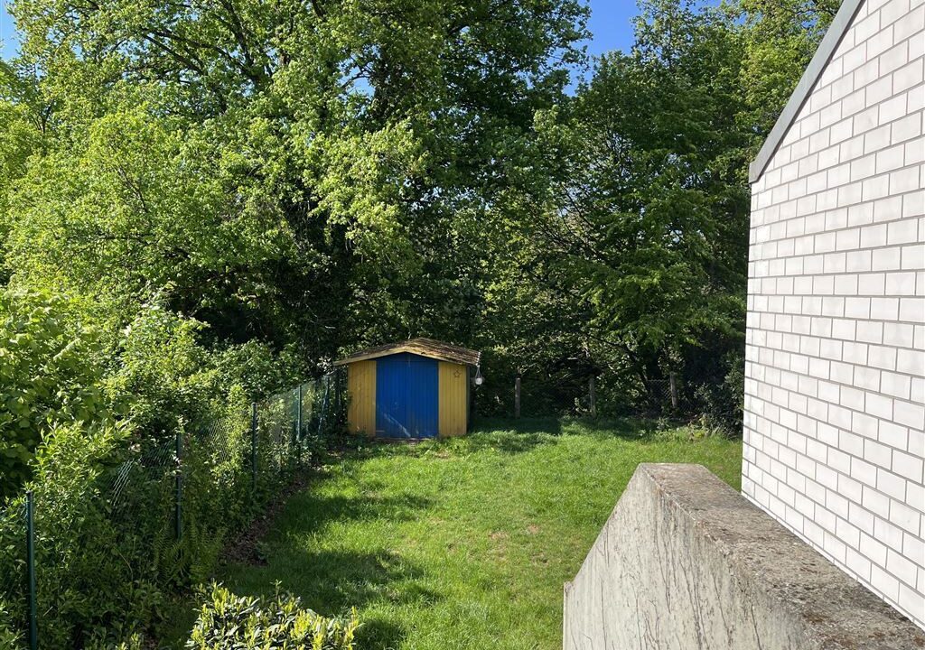 Blick in Garten