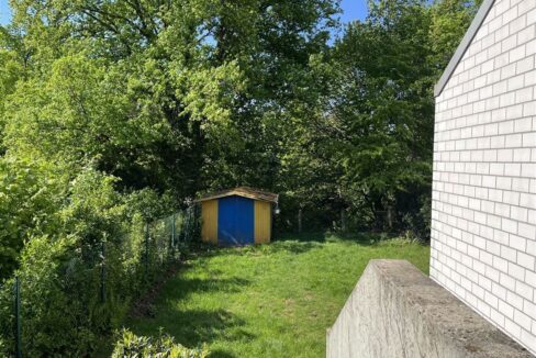 Blick in Garten